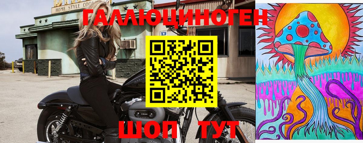 где купить наркотик  Псилоцибиновые грибы MAGIC MUSHROOMS  Абакан  Вход с VPN  Галлюциногенные грибы мухоморы 