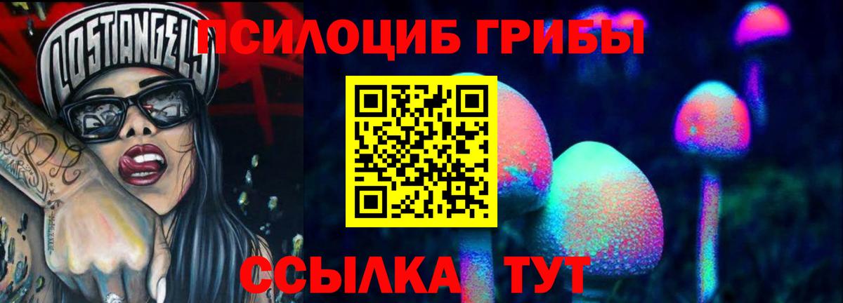 Галлюциногенные грибы Magic Shrooms Абакан
